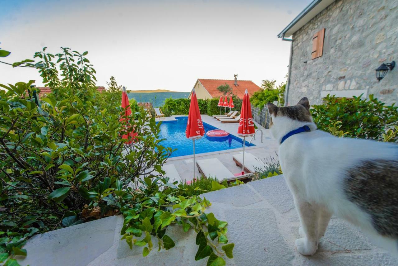 Mediteraneo Villa Kaluderovici Exteriér fotografie